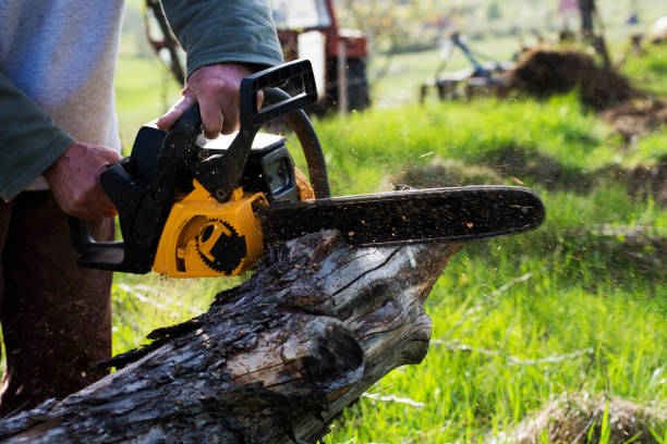 Green Village, NJ Tree Care Company
