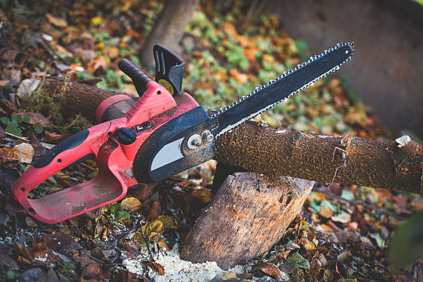 Best Tree Risk Assessment  in Green Village, NJ